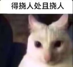 包健康阳光积极向上吗
