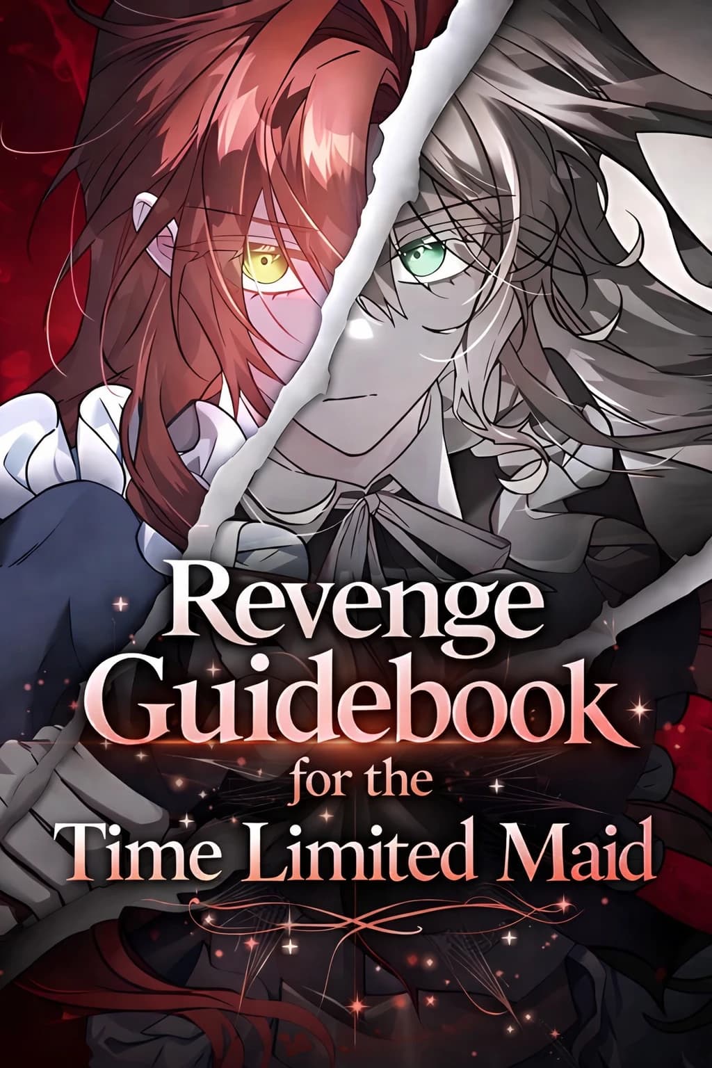 Revenge Guidebook for the Time Limited Maid