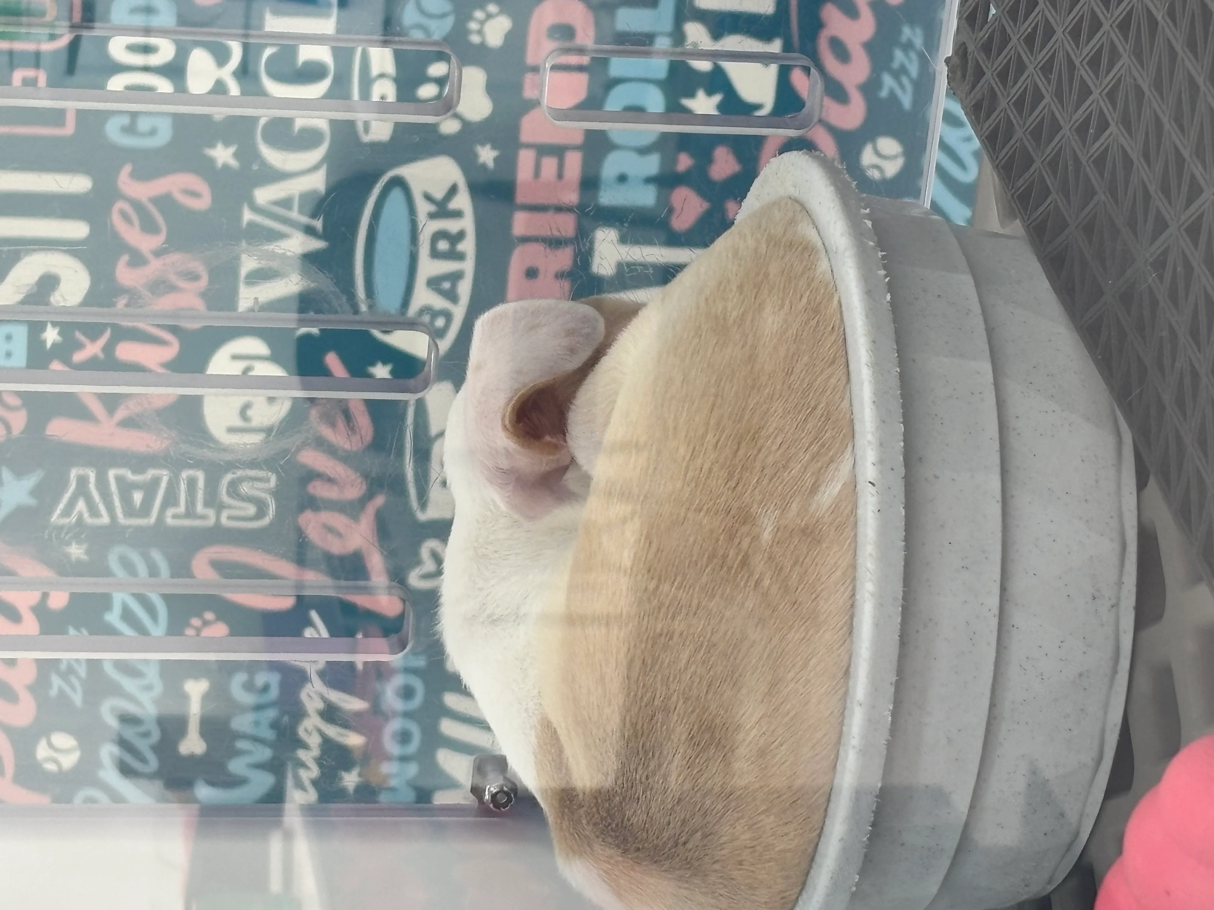 Image 2 of 2 attached to "Tomorrow"