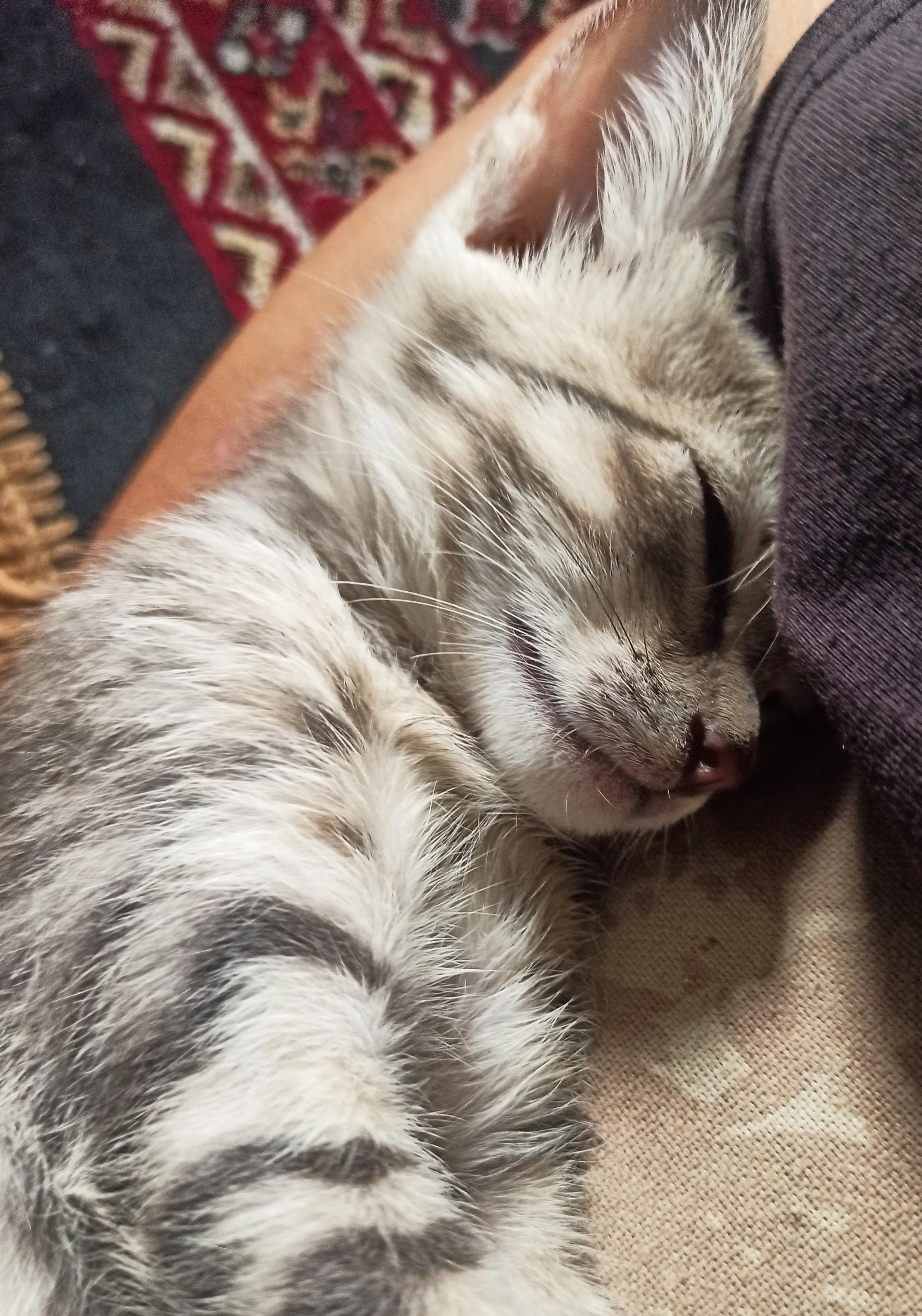 Image 4 of 4 attached to "Sleeping abomination 💤"