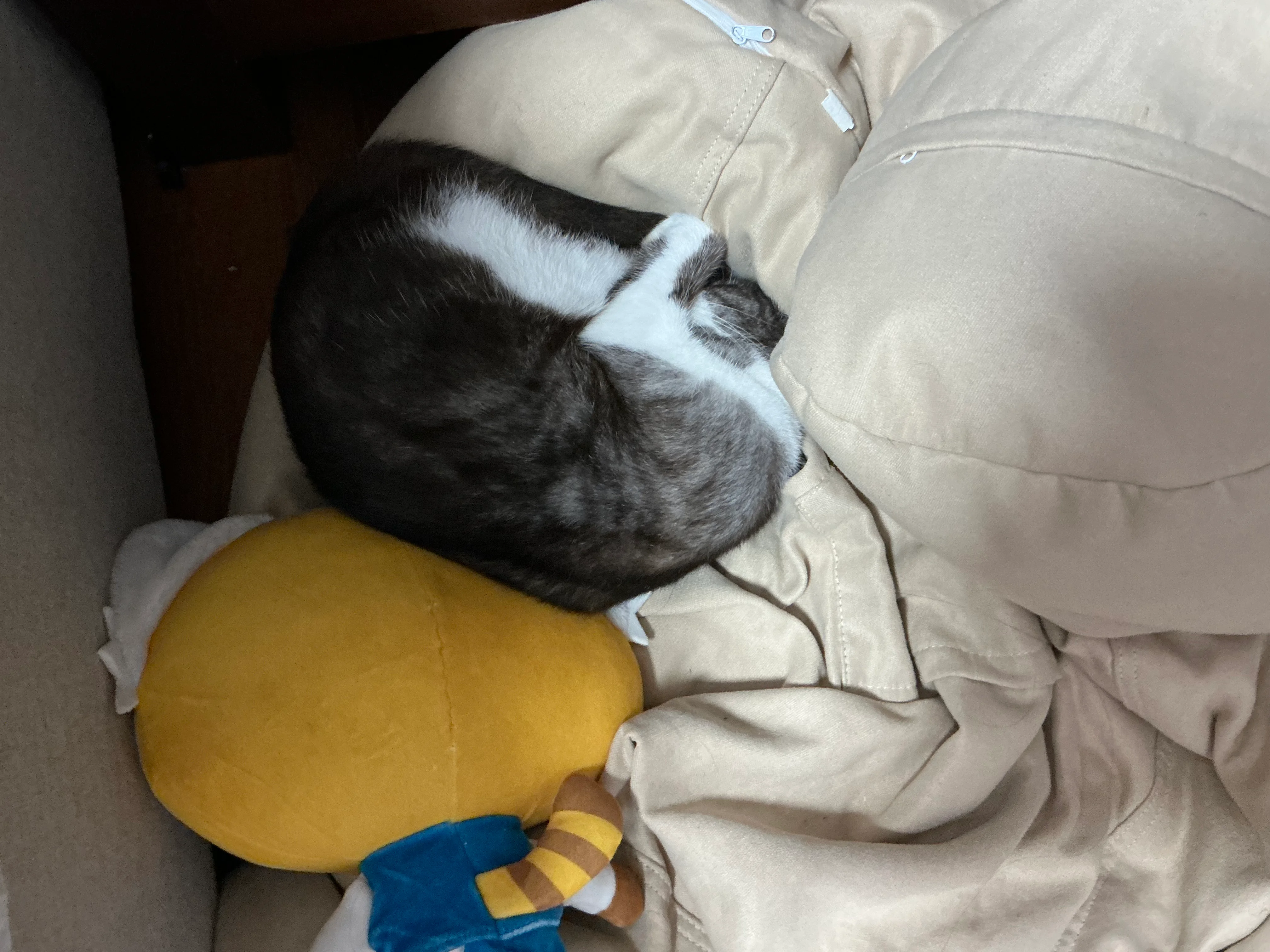 Image 1 of 1 attached to "MY CHILD"