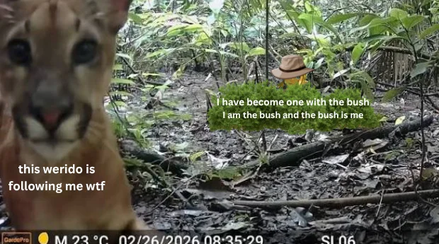 Image 2 of 5 attached to "I became one with the bush on our trip to brazil"