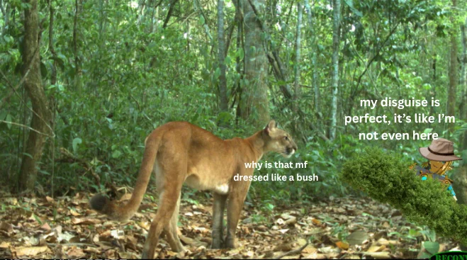 Image 1 of 5 attached to "I became one with the bush on our trip to brazil"