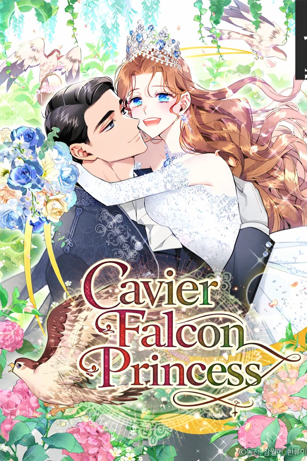 Cavier Falcon Princess